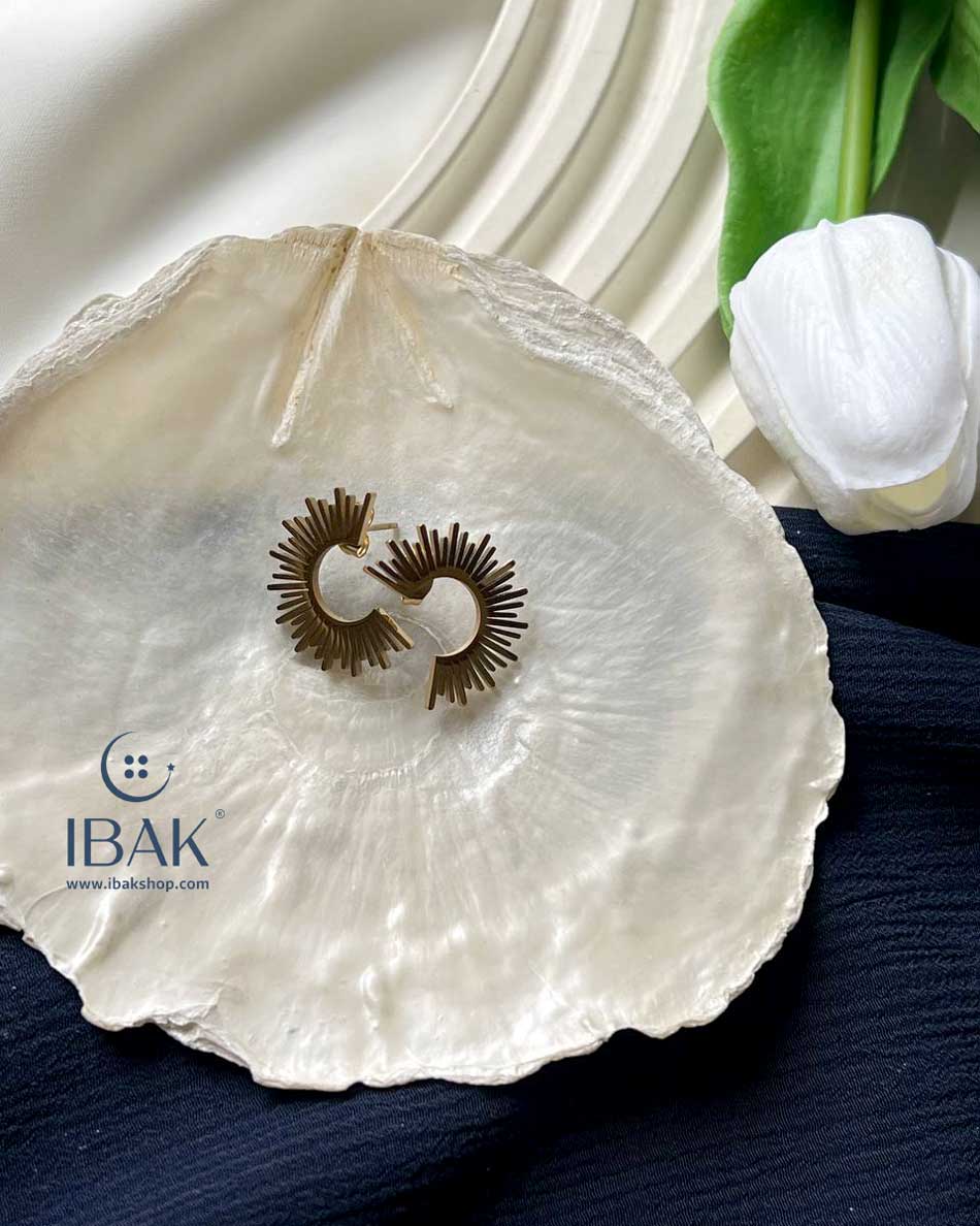 گوشواه نیمه خورشید